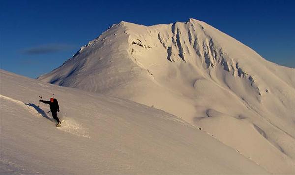 Bakgrunnen for boka