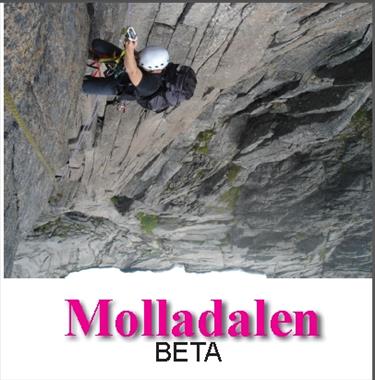 To kapittel frå Molladalsboka